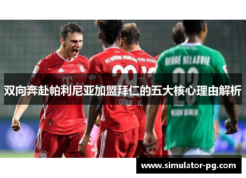 双向奔赴帕利尼亚加盟拜仁的五大核心理由解析