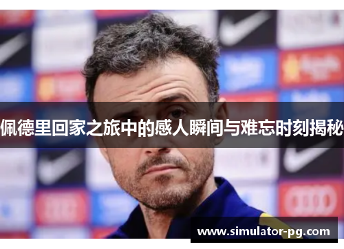 佩德里回家之旅中的感人瞬间与难忘时刻揭秘