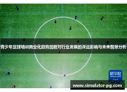 青少年足球培训商业化趋势加剧对行业发展的深远影响与未来前景分析