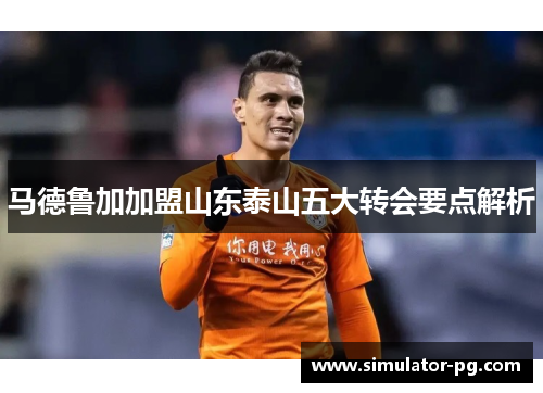马德鲁加加盟山东泰山五大转会要点解析