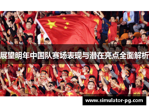 展望明年中国队赛场表现与潜在亮点全面解析