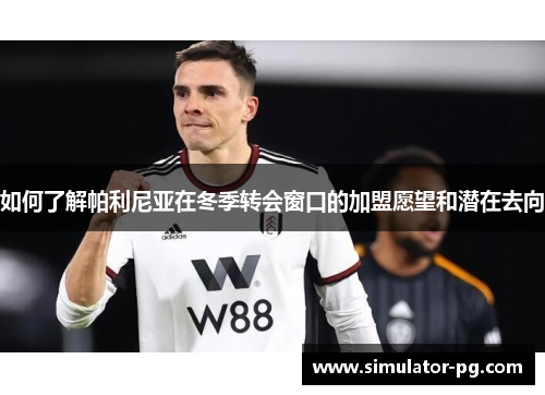 如何了解帕利尼亚在冬季转会窗口的加盟愿望和潜在去向