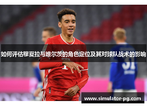 如何评估穆夏拉与维尔茨的角色定位及其对球队战术的影响