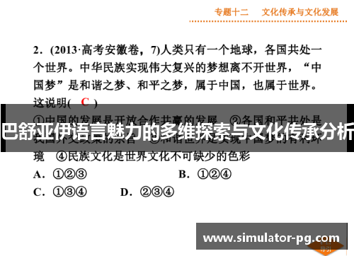巴舒亚伊语言魅力的多维探索与文化传承分析
